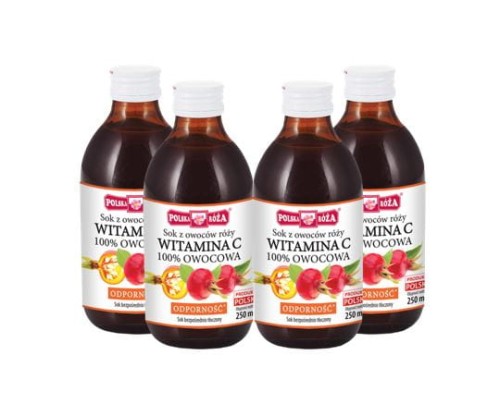 Owocowa Witamina C – sok z owoców dzikiej róży 250ml Polska Róża x4-3759