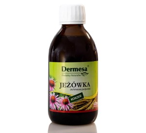 JEŻÓWKA PURPUROWA KORZEŃ 250ML DERMESA