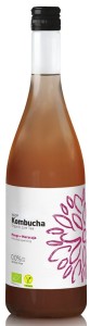 KOMBUCHA MANGO + MARAKUJA BIO 750ML VIGO